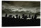 ELedvb Leinwandposter Herr der Ringe The Fellowship, dekoratives Gemälde, Leinwand-Wandposter und Kunstdruck, modernes Familienschlafzimmer-Dekor-Poster, 40 x 60 cm