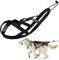 Hunde Zuggeschirr X Back Hunde-Mushing-Geschirr Bikejöring Skijoring Dogscooting Canicross Schlitten professionelles Geschwindigkeitstraining Hundeschlittengeschirr Laufgeschirr (Schwarz, XL)