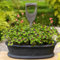 glücksklee samen im topf, blumen, bio saatgut kleeblatt samen saatgut, gartenblumen mehrjährig winterhart pflanze, kübelpflanzen hochbeet balkon, steingartenpflanzen winterhart 200pcs
