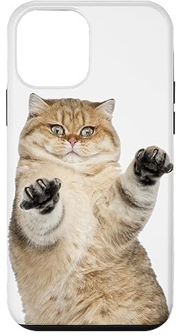 Cute Fluffy Cat Case for iPhone 12 mini