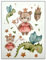 Bügelbilder Set für Textilien DIN A4 Kinder Mädchen Jungen Dino Einhorn Waldtiere groß klein Aufbügelbild zum aufbügeln verschiedene Designs Aufbügler Transferbilder (14 - Teddy Prinzessin mit Drache)