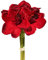 CREATIV green Amaryllis Bund 32cm in dunkelrot I Weihnachtsdeko Amaryllis mit 3 Stielen I künstliche rote Amaryllis Weihnachtsdeko I hochwertige & stilvolle Kunst-Amaryllis I künstlicher Blumen-Bund