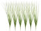 QUARKZMAN 6 Stück künstliche Gras Pflanzen, 13,8 Plastik Fake Weizen Gras Grünery Sträucher Outdoor Künstliche Sträucher Faux Büsche für Haus Garten Front Dekor, Grün