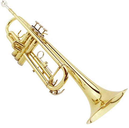Trompeten B-Flat Trompete Instrument für Anfänger Profi Trompeteninstrument Trompeteninstrument