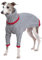 ESCCBOO Italienische Windhund-Kleidung, warmer Pullover für Whippets, Hunde-Strampler, warmer Rollkragenpullover für kleine und mittelgroße Hunde (M, Grau)