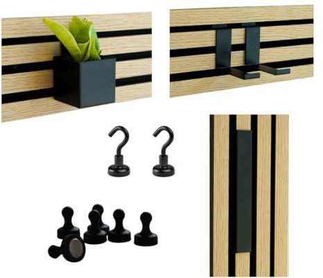 Steinmine - Designmanufaktur Zubehör-Set für Wandorganizer oder Akustikpaneele Holz - mit Behälter inkl. Sukkulente Pflanze, 2 Magnethaken, 5 Magnet Pins, Magnetleiste
