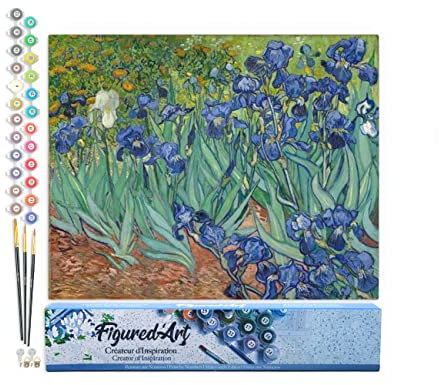 Figured'Art Peinture par Numéro Adulte Van Gogh Iris - Activité Manuelle Kit de Loisir Créatif DIY Numéro d'Art Complet - 40x50cm sans châssis en bois