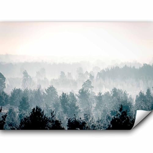 murando Fototapete Premium-Vlies Wald 100x70cm Foto Tapete Schlafzimmer Wohnzimmer Moderne Vliestapete XXL Wandtapete Motivtapeten Bildtapete 3d Effekt Wand Dekoration Flur Nebel Natur c-B-0347-a-a