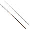 Delphin Symbol Cat Bronze 285cm 500g Welsrute Angelrute Waller Angeln