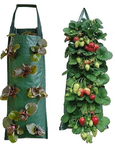 Gehanico Upside Down Strawberry Planter Multi-Function Hanging Strawberry Grow Bag Upside Down Planter Tomato Potato Vegetable Flower Plant Grow Bags Garden Decoration (Green)