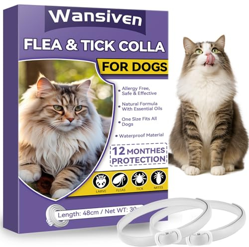 Wansiven Collare Antipulci per Gatti, Collare Antizecche Naturale Regolabile 48 cm, Protezione 12 Mesi (Viola, 45cm -2p)
