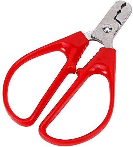 AKAMAS Nussknacker aus Edelstahl, Pistazien-Schalenöffner, Schälzange, Schälen der Schale, ideales Schalen-Breaking-Werkzeug für harte Lebensmittel wie Samen, Piniennüsse