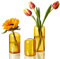 ZENS Glas Vase Deko, Klein Vasen Set 3er, Modern Amber Blumenvase Zylinder Knospe Vase mit Schmalem Mund für Hochzeit, Handgeblasen Tisch für Heimdekoration Mittelstücke
