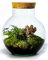 Growing Concepts - Ökosystem zum Selbermachen, nachhaltig, kugelförmig, aus Kork, Botanischer Mix – Höhe 30 x Ø 18 cm