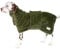 Pash Dog Hundebademantel aus 100% Bio-Baumwolle für Kleine Mittelgroße Große Hunde, Verstellbar mit Klettverschluss, Saugfähig und Schnelltrocknend, 600 Gr/m2 Double Layer Frottee (XS, Grün)