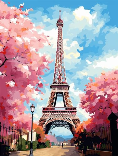 Peinture Numero Adulte Paris, DIY Printemps Peinture par Numero Adulte, Acryliques Peinture par Numéros pour Adultes Débutants Enfants, Loisirs Créatifs Adultes pour Tableau Decoration Murale 30x40cm