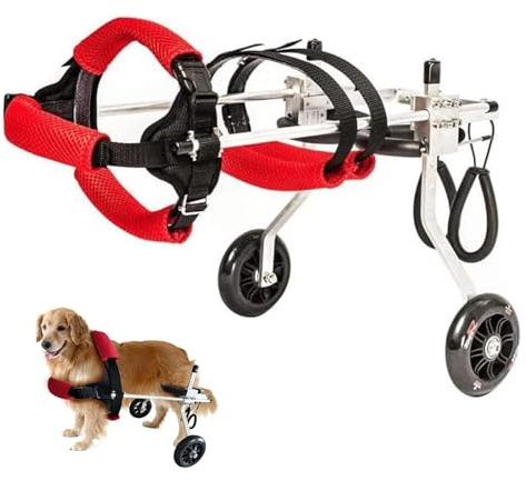 Trolley für Haustiere, leicht und verstellbar, mit Rollen, für Gurte und Hinterbeine, zum Gehen von kleinen Tieren und Katzen (M)