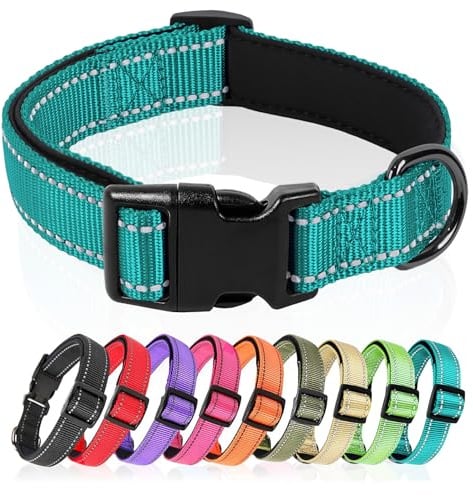 HEELE Hundehalsband, Hundehalsband aus Nylon, Reflektierend Halsband Hund mit Weich Neopren Gepolstert für Welpen Kleine Mittel Große Hunde Läng Einstellbereich 40-66 cm, Türkis, L