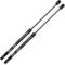 Frankberg 2x Ressorts à Gaz Hayon Compatibles avec 206 CC 2D Cabriolet 2000-2008 Remplacer# 9637115080