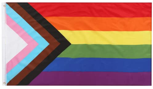 TRIXES Progress Regenbogen-Flagge – LGBTQ+ Pride-Flaggen – Außen- & Innendekorationen für Haus, Garten, Festival, Party, Pride Events – Unterstützung für Lesben, Schwul, Bi, Trans & LGBTQ+ 1,5 x 0,9 m