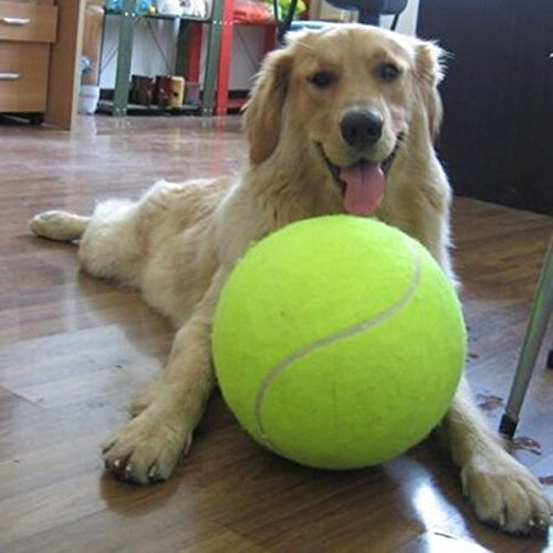 Großer Tennisball für Hunde, 24 cm