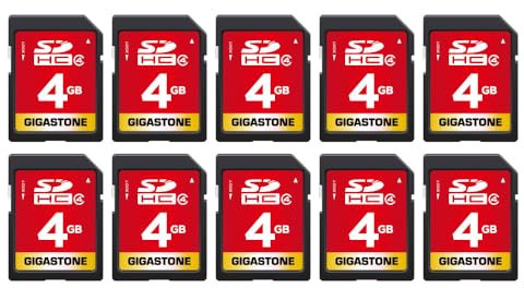GIGASTONE Scheda di Memoria SDHC 4 GB, Set da 10, per Fotocamera Canon Sony Panasonic, Classe 4 per HD Video, con 10 mini custodie