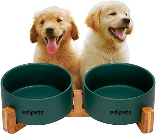 Edipets, Comedero Perro Gato, 400, 800 y 1900 ml, Cerámica, Individual y Doble, Soporte de Bambú Antideslizante, Pequeño Mediano y Grande, 5 Colores (Doble Pequeño, Verde)