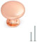 Probrico 5 Pack Kupfer Schrank Türknöpfe Möbel Schublade Griff Pilz Küche Schrank ziehen Durchmesser 30 mm poliert Rose Gold