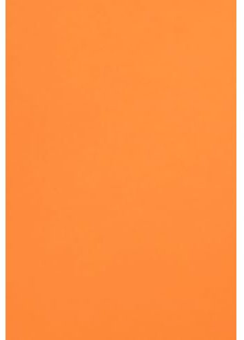 Netuno 100x farbiges Tonpapier Orange DIN A4 21 x 29,7 cm 120g Malmero Orange Bastelpapier farbig bedruckbar Farbpapier Kartonpapier bunt hochwertig für Broschüren Einladungen Poster