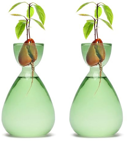 RCXsigns Avocado-Vase, Avocado-Samen-Startervasen, Glas, Pflanzenvermehrung, Bäume, lebende Pflanzen, Geschenk für Frauen, Mutter, 2 Stück