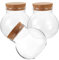 Amosfun Eco Bottle Glass Jar Micro-landscape Apothecary Moss Plant Container Decorative Cork Sealed Desktop Succulent Bottle