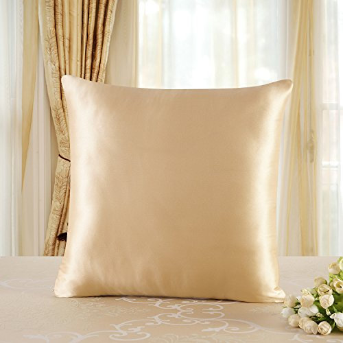 townssilk Beidseitig 100% 19mm Pure Maulbeerseide Kissenbezug für Haar und Haut Gesundheit, quadratisch 1 Stück 40x40cm Größe Kissenbezug mit verstecktem Reißverschluss 600 Fadenzahl Gold