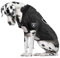 Littlearth NFL Las Vegas Raiders Unisex Big Dog Trikot, Schwarz, Einheitsgröße