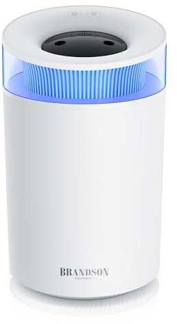Brandson - Luftbefeuchter 2,5 Liter leise - Aroma Diffuser klein - 7 LED Farben Stimmungslicht – 2 schaltbare Dampfausgänge – integriertes Aromaöl-Fläschchen – Wohnzimmer Schlafzimmer Kinderzimmer