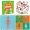 MAGNIKON Magnetisches Lernspiel über den menschlichen Körper für Kinder ab 3 Jahren, Human Body Game, Kinder Motorikspielzeug mit großem Spielfeld für die Beschäftigung bei der Autofahrt, Geschenk