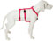 Feltmann No Exit ausbruchsicheres Hundegeschirr für Angsthund, Sicherheitsgeschirr für Pflegehunde, Panikgeschirr, Super Soft, pink, Bauchumfang 55-75 cm, 20 mm Bandbreite
