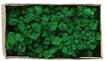 Hidyliu 1 Kiste Garten Moos, Grünpflanzen Gestalten, Dekomoos Moos, Hügelmoos Sphagnum Moos, Feengärten, Blumenarrangements, Herbstdeko, Weihnachten, Terrarien und