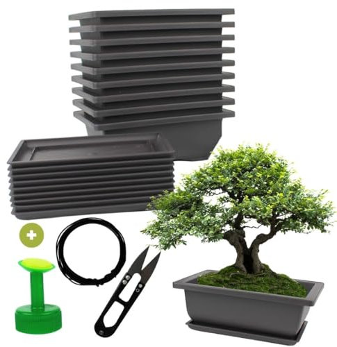 Cultivea® - Set di 10 vasetti per Bonsai con piattino - Kit completo per coltivazione e manutenzione: vasi in plastica con filo Bonsai, cesoie, tappo per annaffiatoio e drenaggio integrato