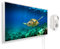 Könighaus Infrarotheizung mit Bild - 800 Watt + Smart Thermostat & Könighaus APP - Energiesparende Infrarot Wandheizung mit Bildmotiv – TÜV SÜD - Weißer Rahmen (13. Schildkröte unterwasser)