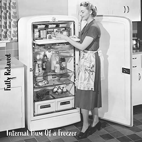 Internal Hum of a Freezer, Pt. 7