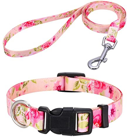 Mihqy Hundehalsband und Leine Set, Verstellbares, Weich & Komfort Nylon Hunde Halsband für Kleine Mittlere Große Hunde Welpen Katzen(Pinke Rose Set,S)