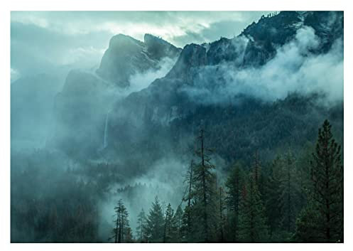 WallArena - Vlies Fototapete Wald Nebel Landschaft Bäume Grün Natur Panorama 208x146 cm - Fototapeten - Tapeten - für Wohnzimmer Schlafzimmer - Vliestapete Wandtapete Tapete 3D Effekt- inkl. Kleister