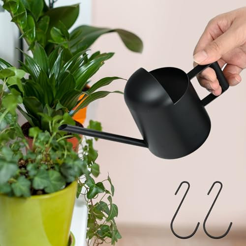 Gießkanne Klein für Zimmerpflanzen, 300ml Klein Edelstahl Watering Can Langer Auslauf Giesskanne mit 2 S-förmige Haken, Blumengießkanne für Zimmerpflanzen Sukkulenten Topfpflanze (Schwarz)