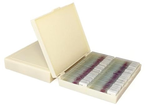 Histopathology Slides, Microscope Slides with Human Cell HE Stain Structural, Transparency, Uniform Dyeing, Clear Imaging, Human Pathological Tissue Sectioning Set, for Lab Biology Science Study
