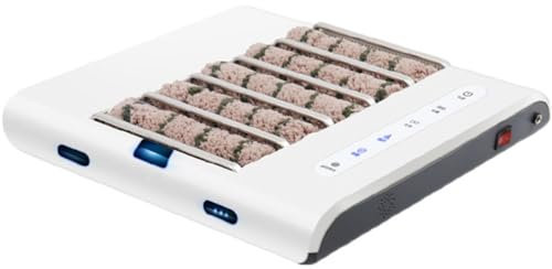 Machine de Nettoyage de Semelles de Chaussures entièrement Automatique, polisseuse de Chaussures à induction Rechargeable, Machine de Nettoyage de Semelles 2600 mAh pour hôtels, banques
