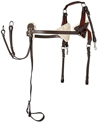 Cwell Equine 5-Punkt-Brustgeschirr, hochwertiges Leder und Druck-Pads, für Voll/Cob/Pony, Braun, Größe XL