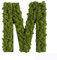 styleGREEN Piktogramm: Buchstabe M Islandmoos