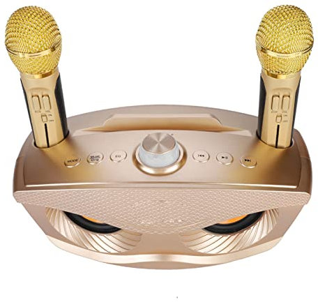 Bluetooth Speaker Home, with Two Wireless Charging Receiver KTV Karaoke Coil Charger Microphone (Black) (Gold)