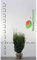 Nicht-Fruchtende Eibe Taxus media Hillii 60-80 cm. 3 Taxus Koniferen. Immergrün