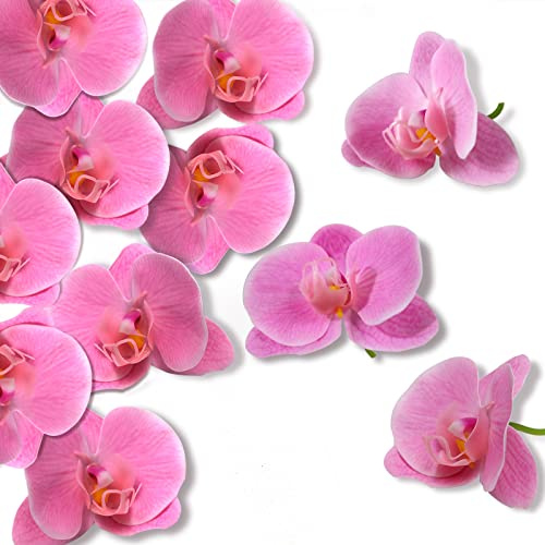 LARDUX 20 teste di orchidea artificiali – finti fiori a forma di farfalla, per torte, accessori per capelli, cappelli, matrimoni, artigianato, decorazione, rosa